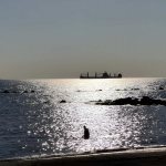 Open Arms a Marina di Carrara, concluso lo sbarco di 58 migranti: trasferiti nei centri di accoglienza